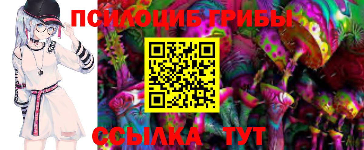 Галлюциногенные грибы Psilocybe Котовск