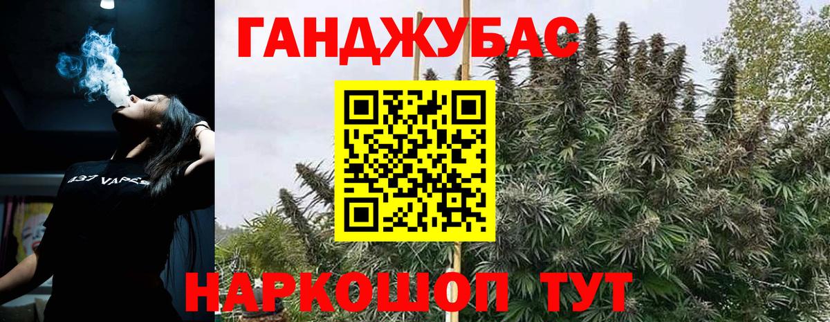 Бошки Шишки планчик Котовск